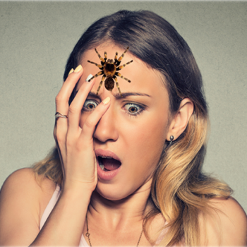 Spider Face Prank GUIDE apk download latest version v5.5 screenshot 1