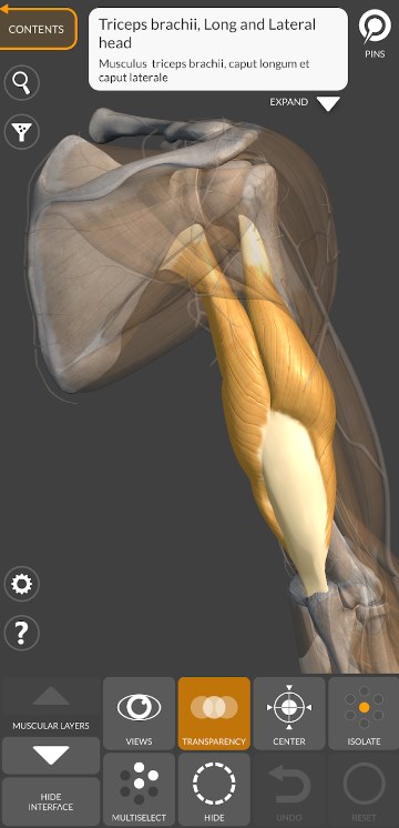 3D Anatomy for the Artist App for Android Download