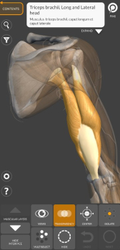 3D Anatomy for the Artist App for Android Download v6.0.0 screenshot 4