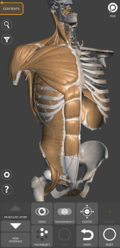 3D Anatomy for the Artist App for Android Download v6.0.0 screenshot 3