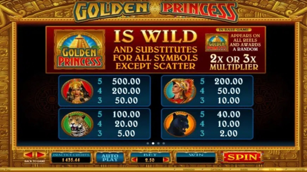 Golden Princess slot machine apk download for andorid v1.0.0 screenshot 3