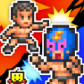 Pro Wrestling Story Mobile Apk Free Download