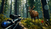 Forest Hunter Animal Shooting apk download for android v0.1 screenshot 3