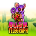 Bush Telegraph slot apk download latest version 1.0.0