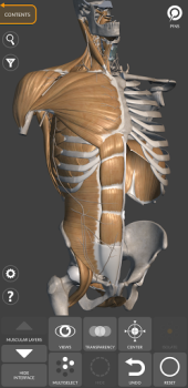 3D Anatomy for the Artist mod apk premium unlocked latest version v6.0.0 screenshot 4