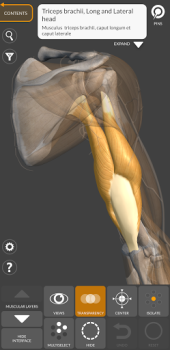 3D Anatomy for the Artist mod apk premium unlocked latest version v6.0.0 screenshot 3