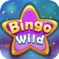 Bingo Wild unlimited coins mod apk