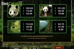 Untamed Giant Panda Slot Free Full Game v1.0 screenshot 1