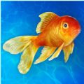 Aquarium Simulator Fish Life apk download for android