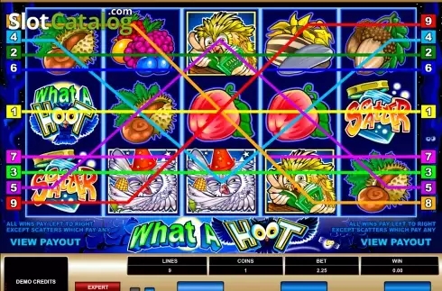 What a Hoot Slot Free Download 