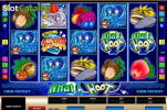 What a Hoot Slot Free Download  v1.0 screenshot 2