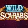 Wild Scarabs Slot Android Latest Version