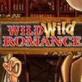 Wild Wild Romance Slot Free Full Game