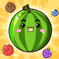 Melon Drop Fruit Merge Master apk download for android