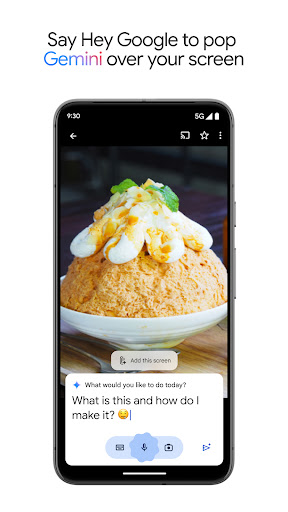 Google Gemini 2.0 pro apk free download