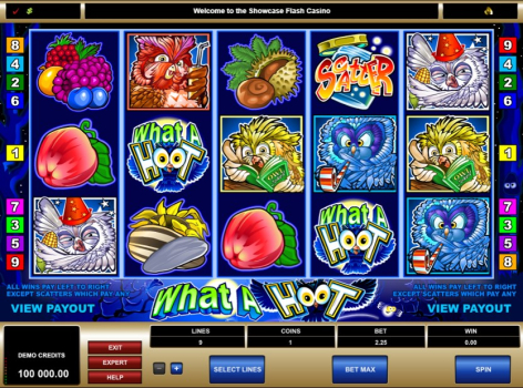 What a Hoot slot mod apk latest version v1.0.0 screenshot 3