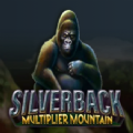 Silverback Multiplier Mountain Slot Apk Download for Android