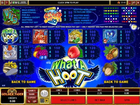 What a Hoot slot mod apk latest version v1.0.0 screenshot 4