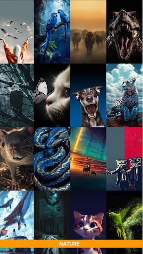 Wollo Wallpapers app download latest versionͼƬ2