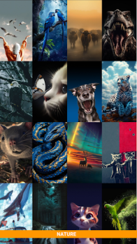 Wollo Wallpapers app download latest version v1.0 screenshot 5