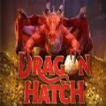 Dragon Hatch slot free game download 1.0.0