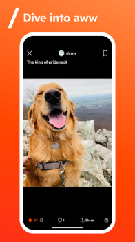 Reddit 2024.31.0 apk latest version download v2024.31.0 screenshot 4