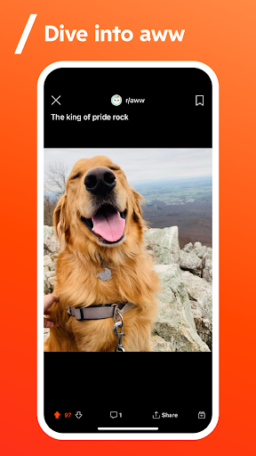 Reddit 2024.31.0 apk latest version download