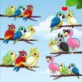 Sort the Birds Color Sort apk download latest version