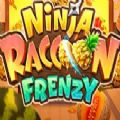 Ninja Raccoon Frenzy Slot Free Full Game