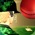 Cricket Fly x Gamifly mod apk 1.3.49 unlimited money and gems