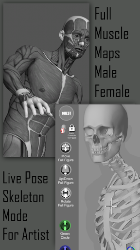 Pose Tool 3D free apk 6.8.180 download full version