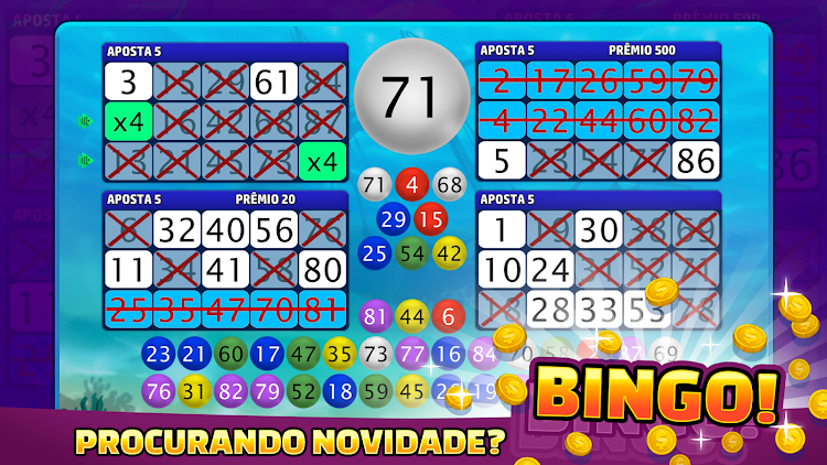 Fantasy Bingo VideoBingo apk download latest versionͼƬ2