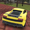 Race Pro Stunt apk download latest version