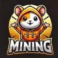 Hamster Kombat Android App Download Latest Version