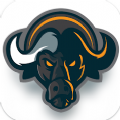 Buffalo Network mining app download latest version 2024