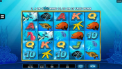 Dolphin Coast slot apk download latest version v1.0.0 screenshot 4