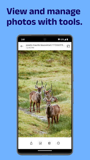 GV Photos Simple Gallery App Free Download for Android