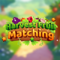 Harvest Fruit Matching apk download latest version