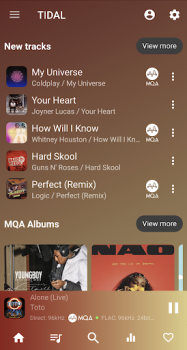 USB Audio Player PRO apk 7.0.3.1 free download latest version v7.0.3.1 screenshot 1