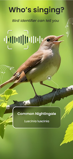 BirdID Sound Bird Identifier app download for android