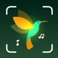 BirdID Sound Bird Identifier app download for android