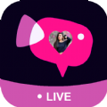 WingoVideo Live Video Call Apk Free Download for Android