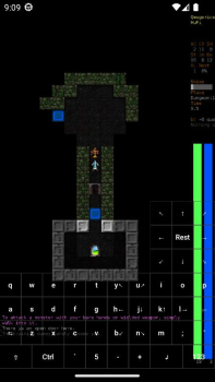 Dungeon Crawl Stone Soup mobile apk download for android v1.03 screenshot 1