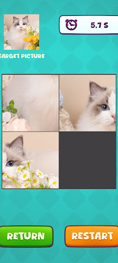 Cat PinPinLe apk download for android