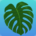 Plant Therapy NYC Edition Apk Download for Android