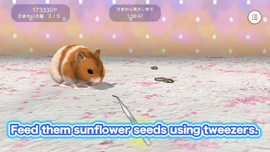 Play with your hamster apk latest version download v1.0.1 screenshot 1