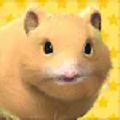 Play with your hamster apk latest version download