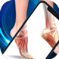 Xray Scanner Face Body Fun app download latest version 1.0