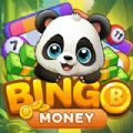 Panda Bingo Mania Super Win apk download latest version