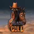 Black Gold Slot Apk Download for Android